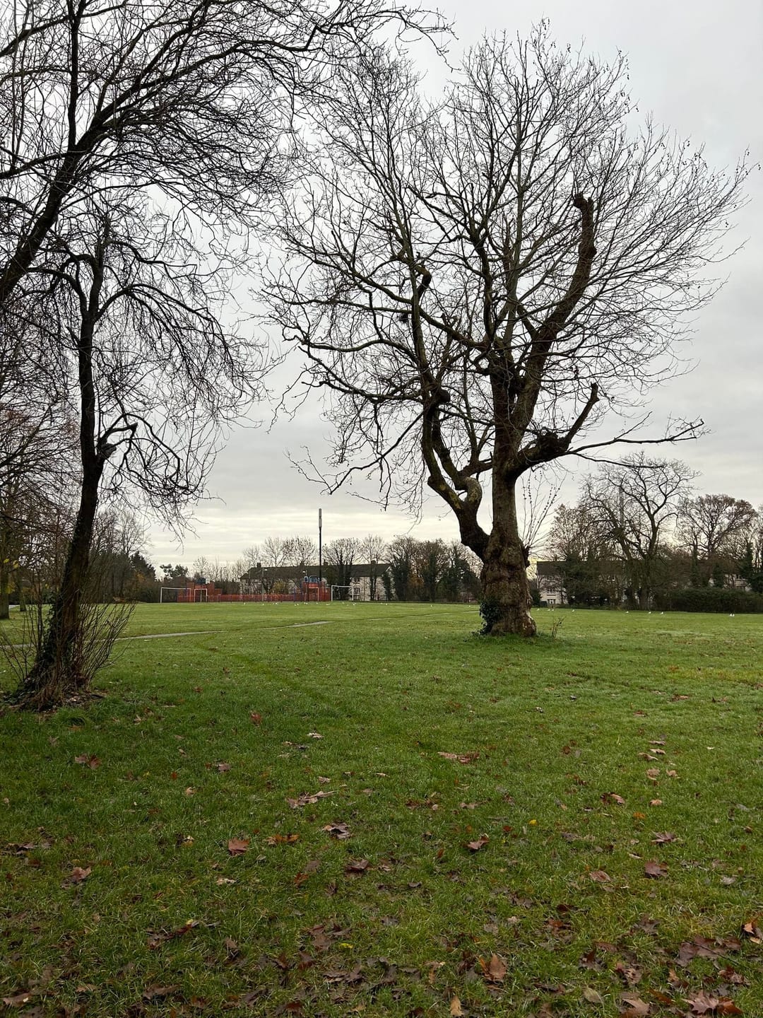 Burnham Park - image 2