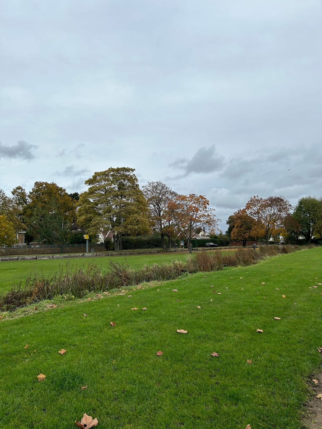Datchet Recreation Ground - image 1