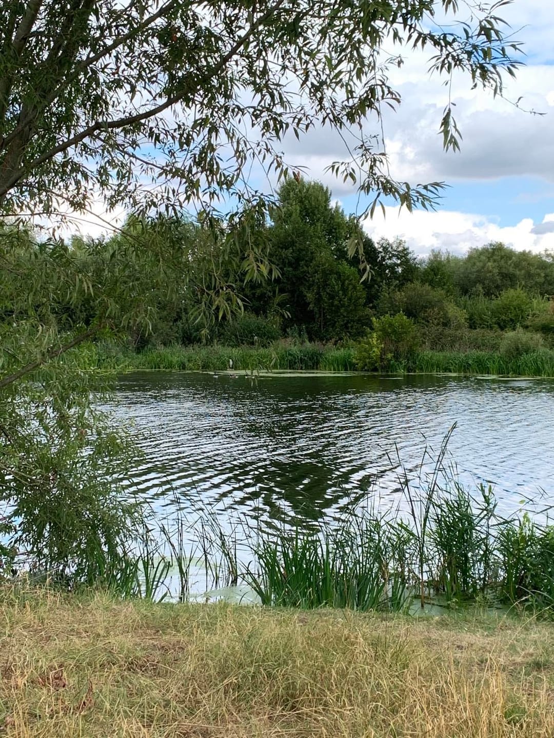 Jubilee River - image 1