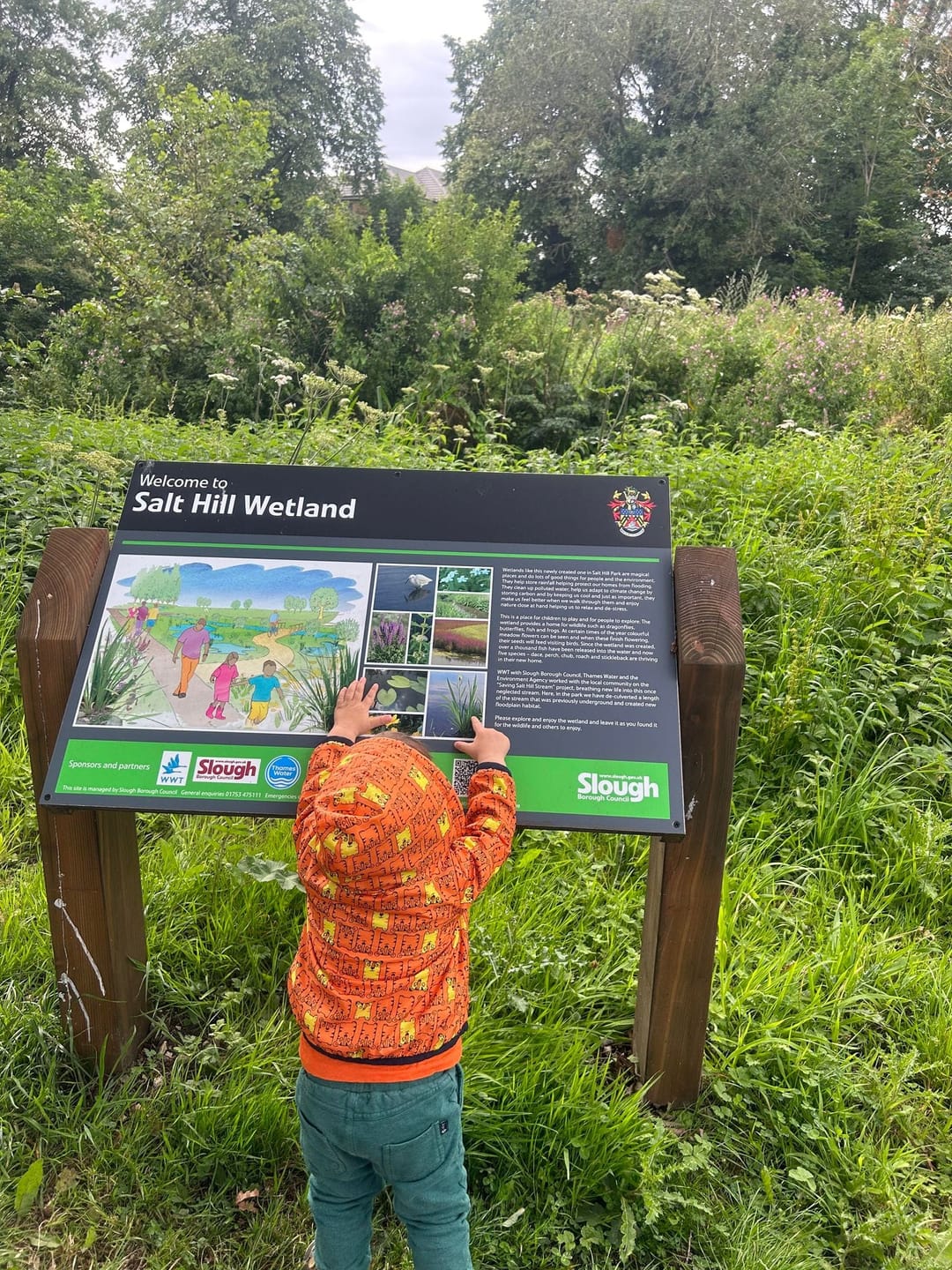 Salt Hill Park - image 3