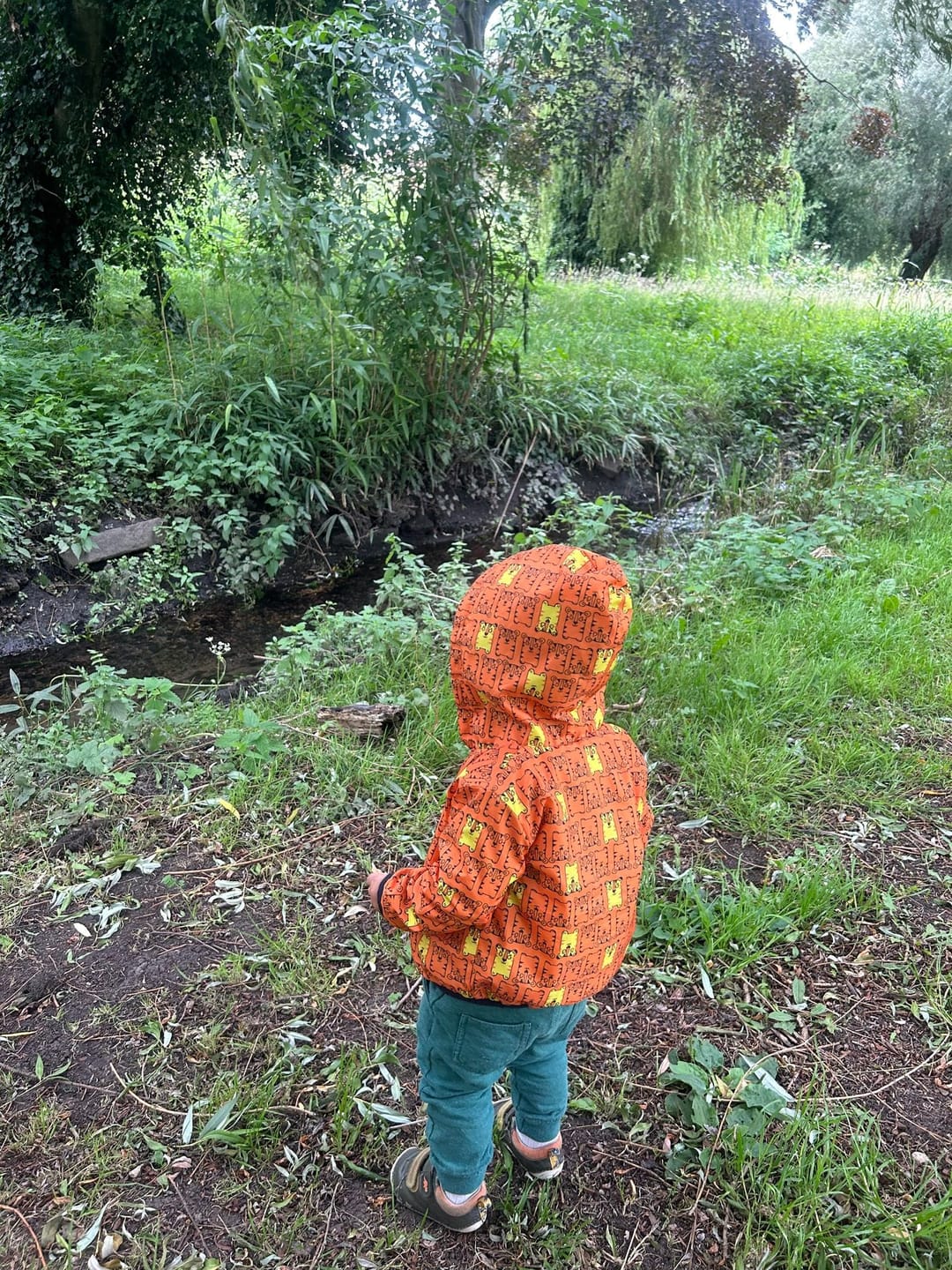 Salt Hill Park - image 2