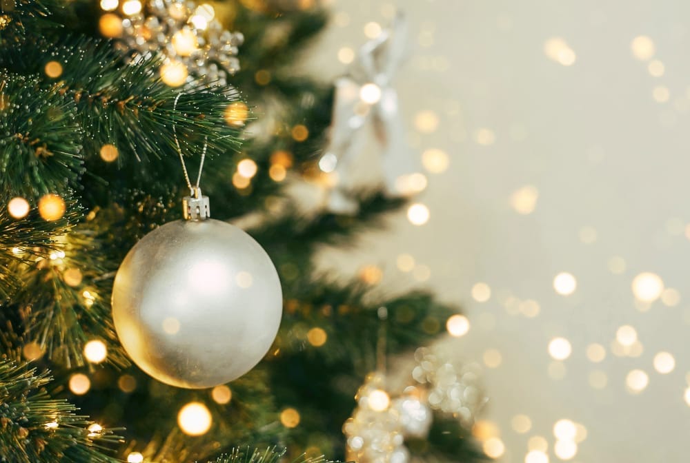 Where to buy your Christmas Tree in Berkshire