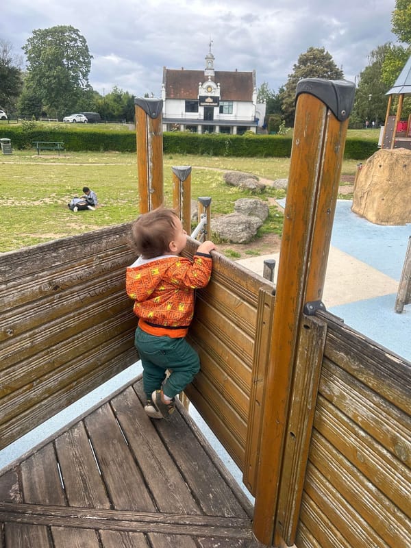 Salt Hill Park
