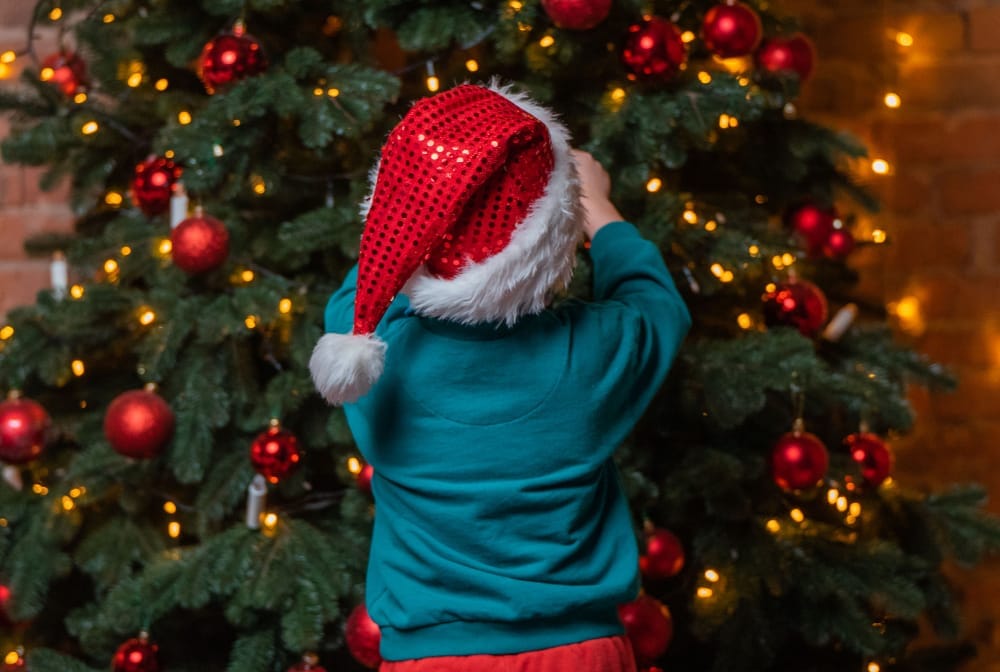 Where to buy your Christmas Tree in Berkshire