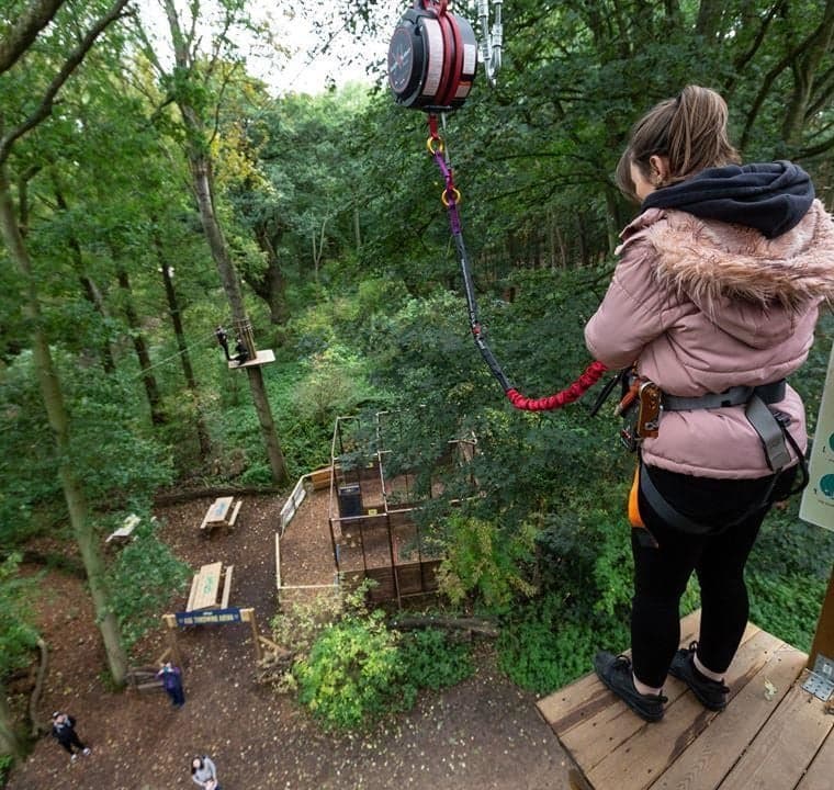 Go Ape Black Park - image 1